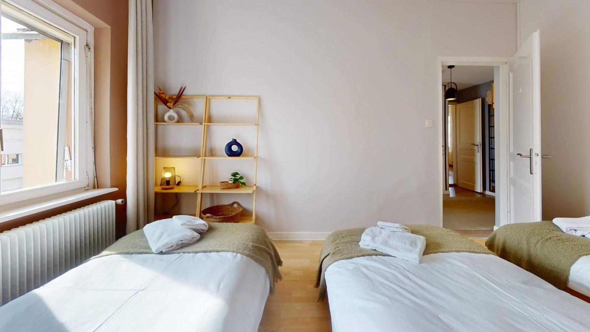 L'Alsacienne Apartment Колмар Екстериор снимка